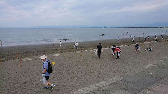 Beach Clean Activities as a Member of Enosueco Supporters